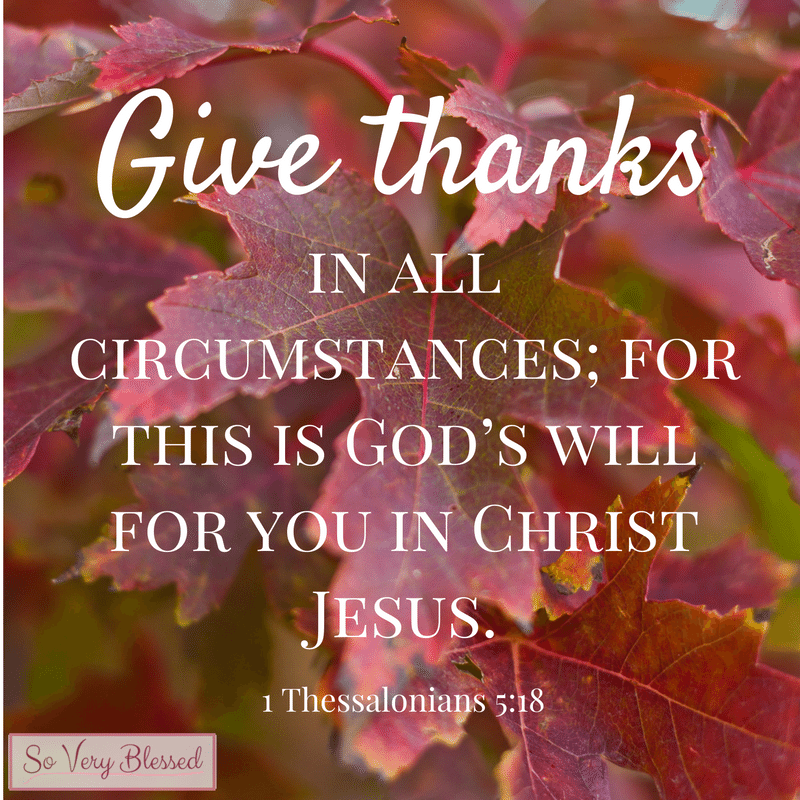 15 Bible Verses on Thankfulness