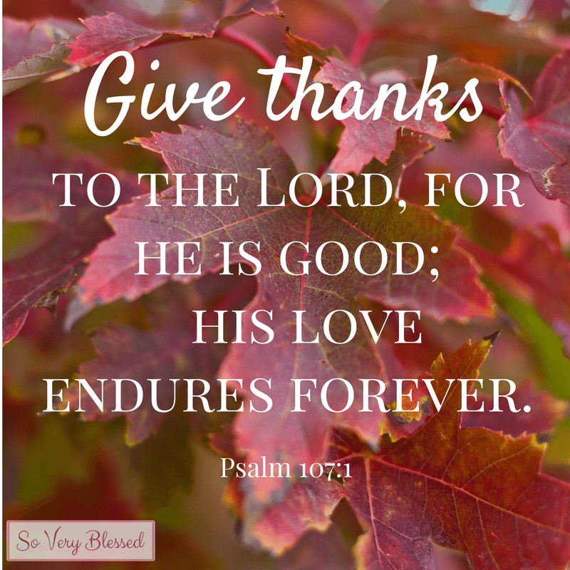 15 Bible Verses on Thankfulness : So Very Blessed - Read through these Bible verses on thankfulness to fall more in love with God and cultivate a deeper heart of joy and gratitude.