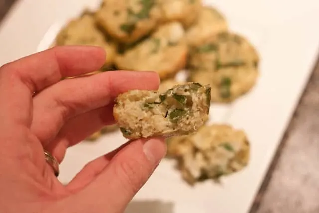 Spinach Parmesan Quinoa Bites : So Very Blessed