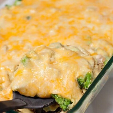 Chicken Divan Recipe : So Very Blessed