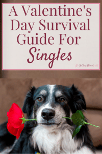 A photo of a dog holding a roses in his mouth with an overlay text that says 'A valentine's Day Survval Guide For Singles'