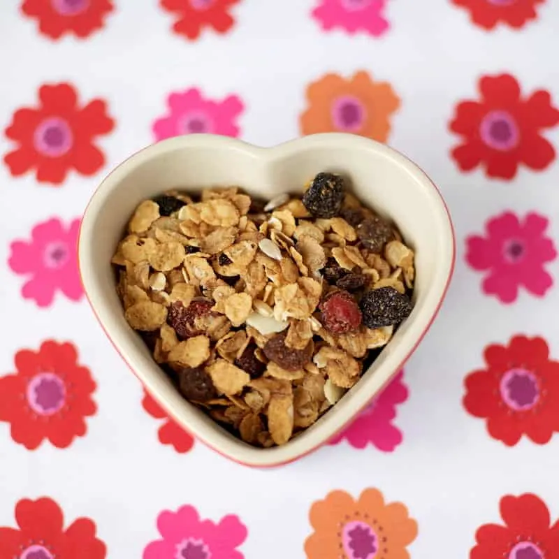 Bowl of oats with dried berries
