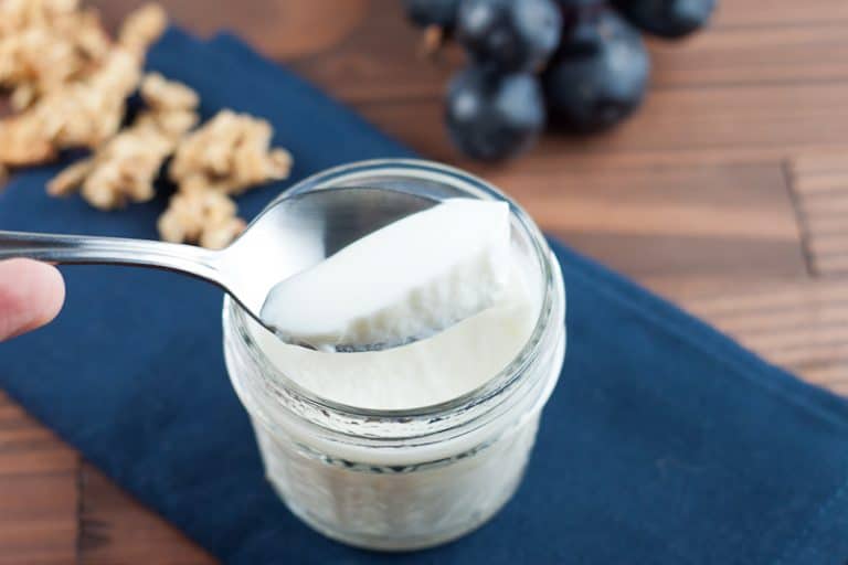 Premier Protein Instant Pot Yogurt Recipe