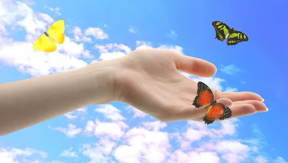 Woman's hand held out with butterflies flying around her for 35 Bible verses about Butterflies