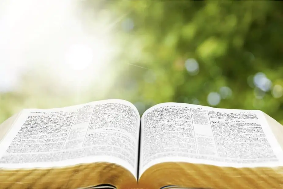 Open Bible book on table