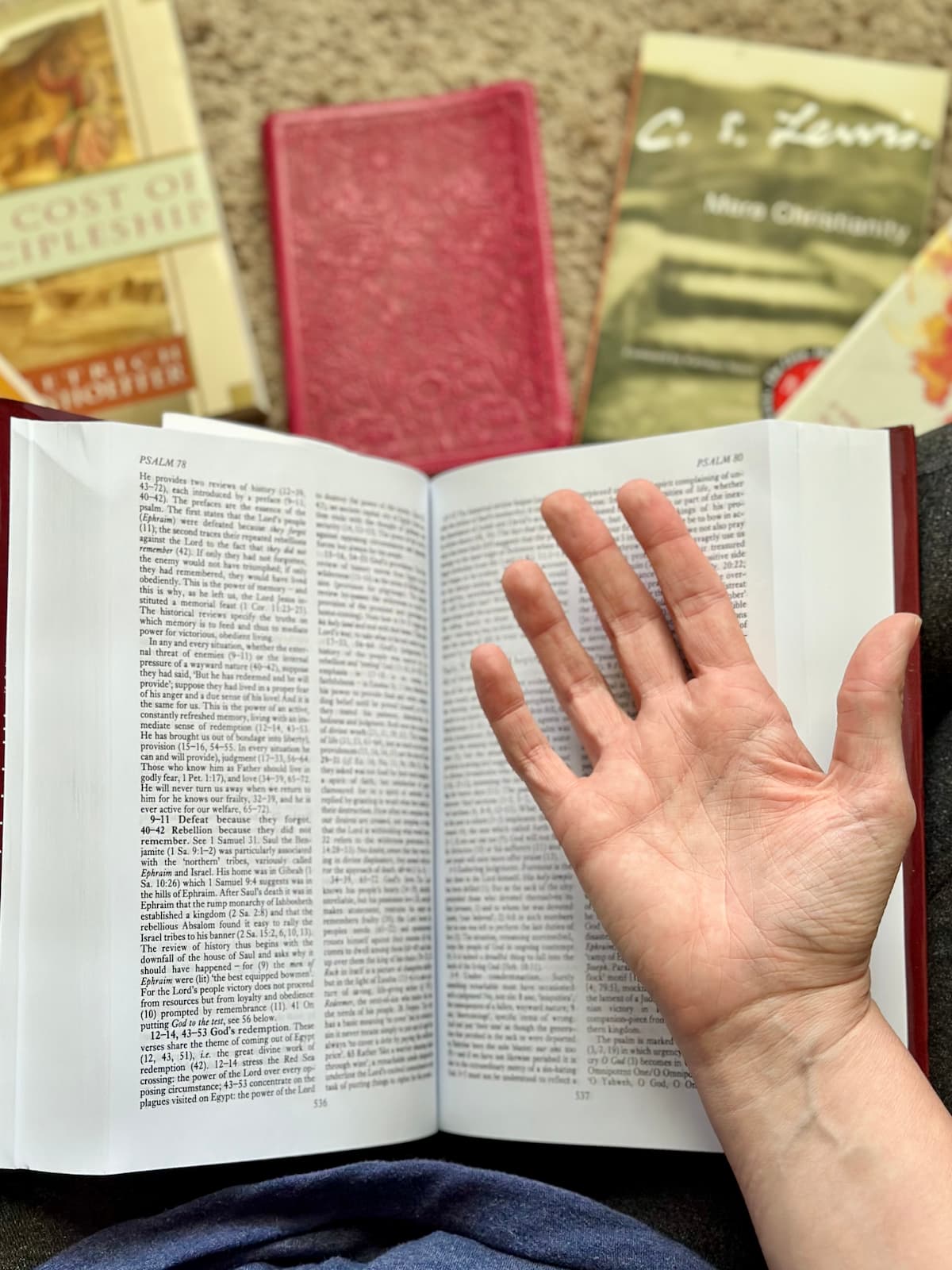 Wholehearted Bible Study: Loving God with All Your Heart, Soul, Mind & Strength